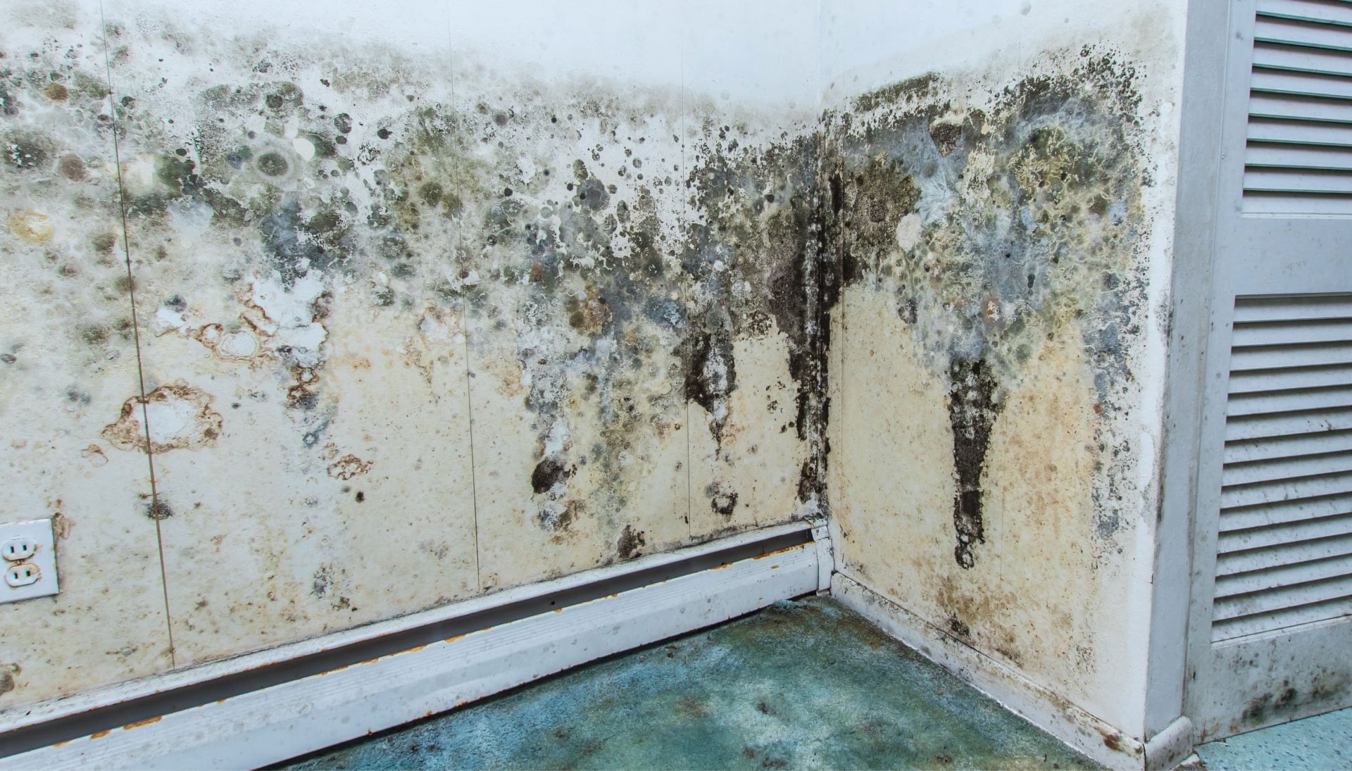 Professional mold removal, odor control, and water damage restoration service in Speedway, Indiana.