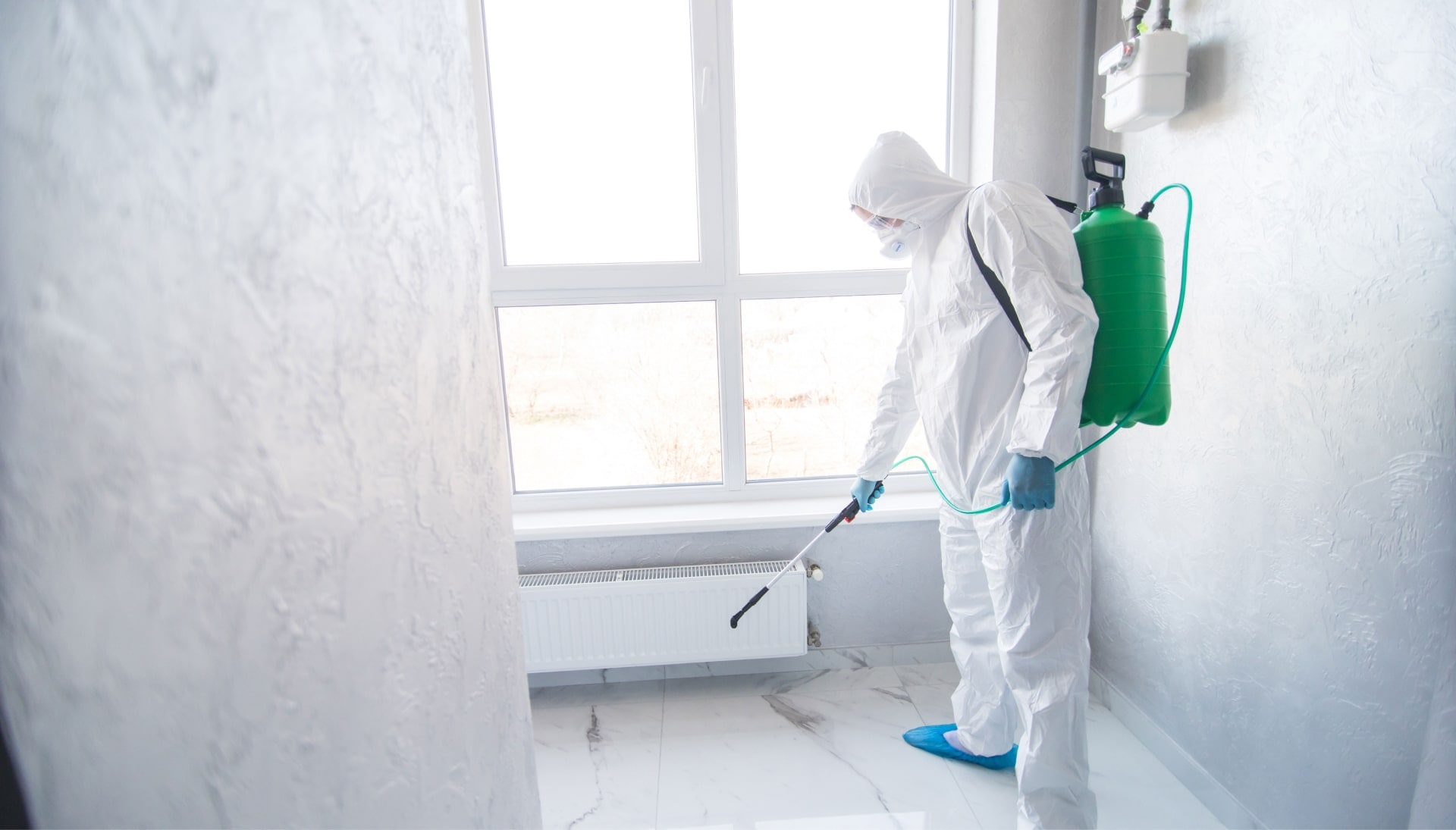 We provide the highest-quality mold inspection, testing, and removal services in the Speedway, Indiana area.